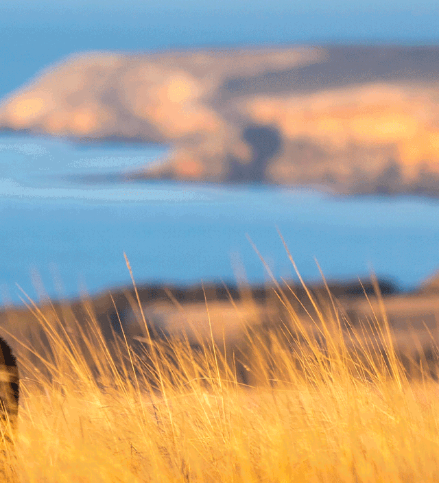 Kangaroo Island